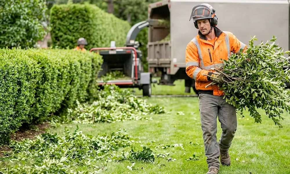 élagueur professionnel travaillant sur un arbre